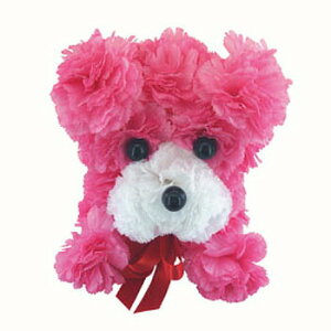 yiz v[h 5L y tFCNt[ CeAt[ lHϗtA  A[gt[ z