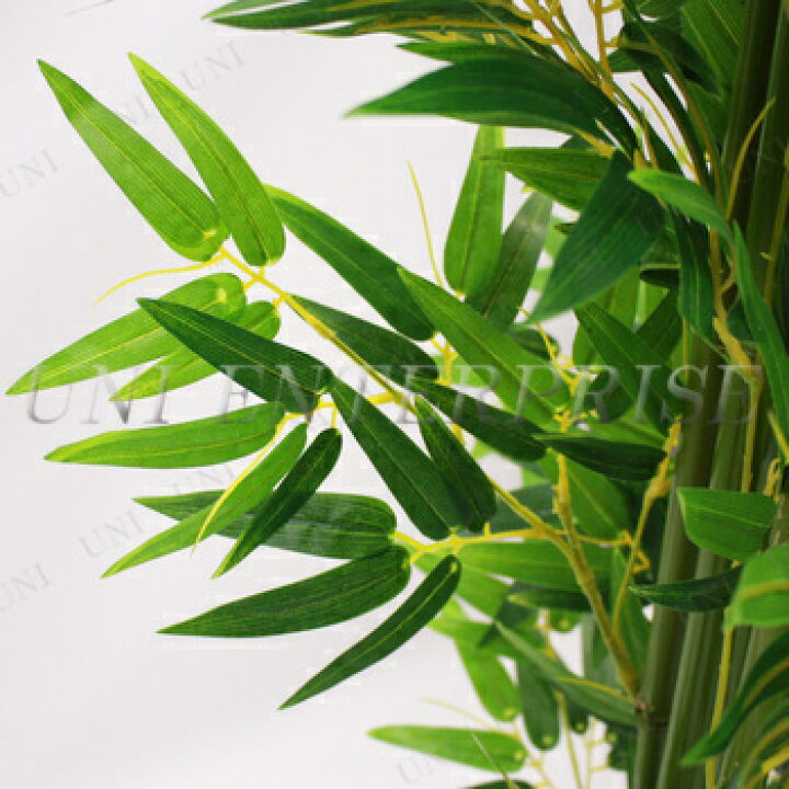 楽天市場】人工観葉植物 光触媒 バンブー 青竹 210cm ENTERPRISE 店舗 