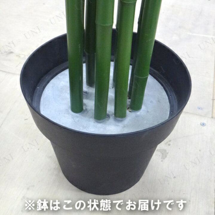 楽天市場】人工観葉植物 光触媒 バンブー 青竹 210cm ENTERPRISE 店舗 