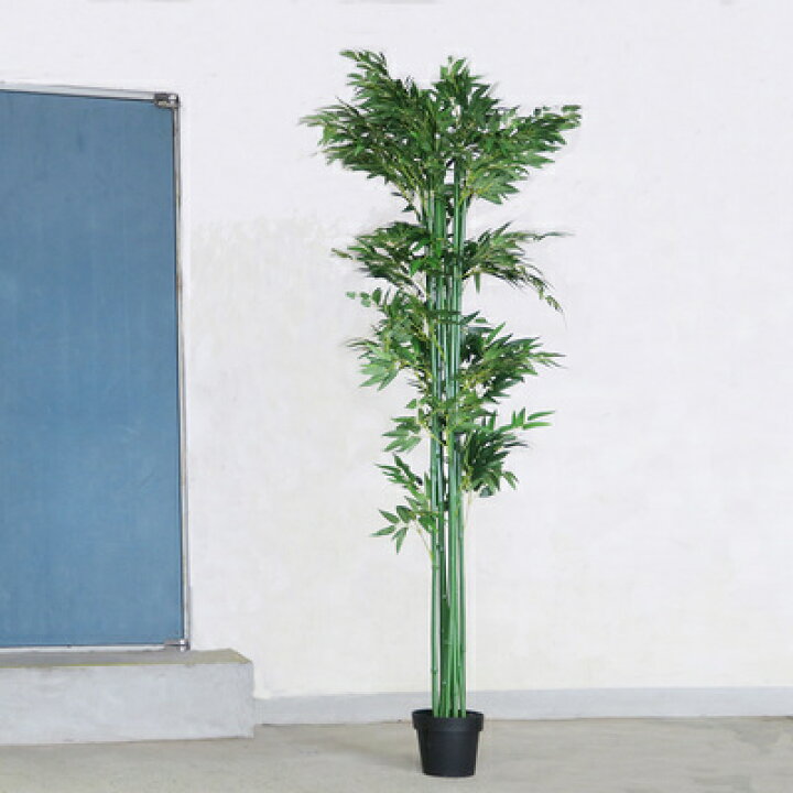 楽天市場】人工観葉植物 光触媒 バンブー 青竹 210cm ENTERPRISE 店舗 