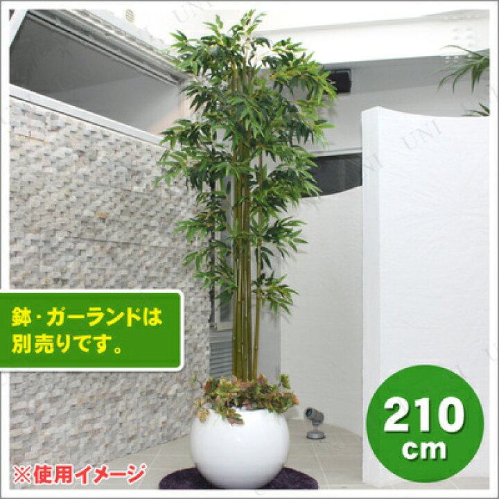 楽天市場】人工観葉植物 光触媒 バンブー 青竹 210cm ENTERPRISE 店舗 