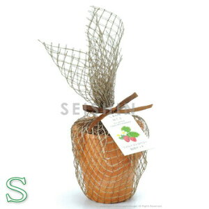 yiz eRb^K[fS ChXgx[ y ͔|Zbg Lb`؉ CeAG ͔|Lbg | ƒ؉ n[u z