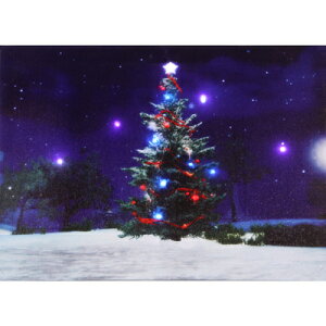 [2_Zbg] CeBOsN`[ c[ y EH[fR  ݂邵 G p[eB[fR[V NX}Xp[eB[ p[eB[ObY NX}X Ǌ| z