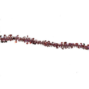 NX}X@c[@I[ig [4_Zbg] JbeCO[ 1C`X^[ bhI[ y CeA G p[eB[ t NX}X I[ig Ǌ|  N