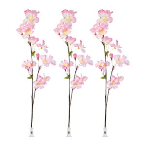 yiz Nbv 3{Zbg y  w POP  Xܑi TN  Ԍ fBXvC fR[V } ̑i t z