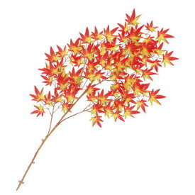 楽天市場 秋 紅葉 装飾の通販 楽天市場 秋 紅葉 装飾の通販