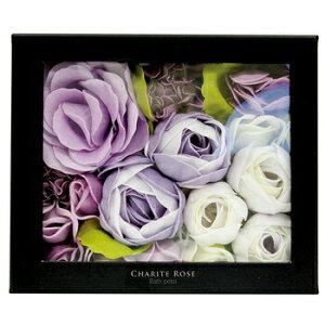 Ve[YoXy^ }[Y y  Mtg [Y t[y^ oXpi Cpi CObY v[g z