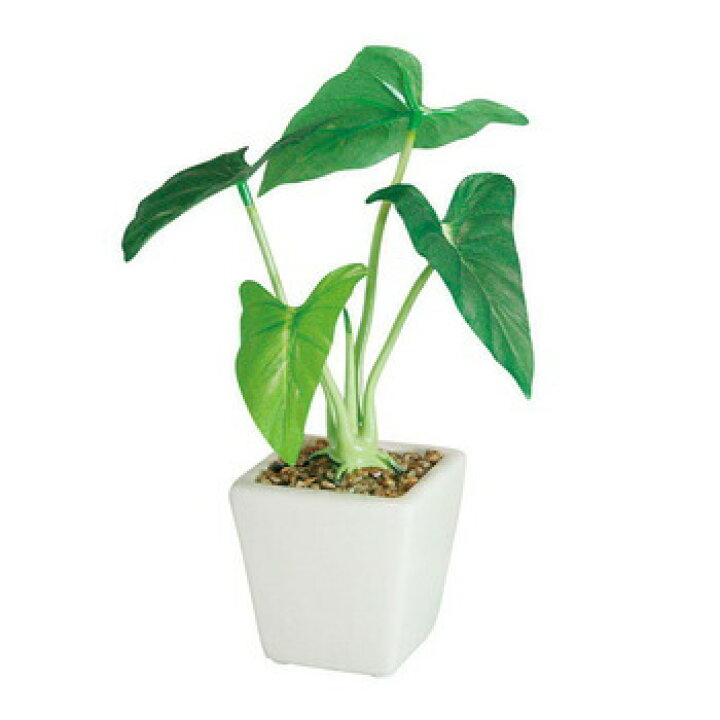 楽天市場 タロポット 23cm 観葉植物 小さい フェイクグリーン ミニ 人工観葉植物 ミニサイズ サトイモ科 ミニ観葉植物 インテリアグリーン パーティワールド