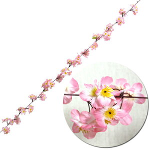 [3_Zbg] 180cmVNK[h y POP t  fR[V fBXvC Xܑi TN Ԍ w ̑i V Ǌ| z