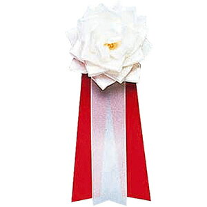 RXv  [12_Zbg] L {o  y o Cxgpi ObY p[eB[pi p[eB[ObY L v` nEB ߑ グObY ϑObY z