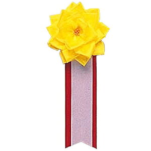 yiz RXv  [20_Zbg] L {o  y nEB ߑ p[eB[pi Cxgpi ϑObY ObY p[eB[ObY v` L o グObY