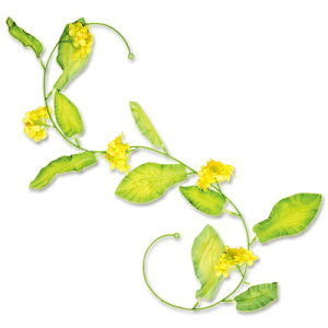 yiz [24_Zbg] V[g؂̉ K[h y POP fR[V  ̑i Xܑi fBXvC z