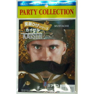 RXv  ϑЂ JC[ y RXv ߑ nEB tE nEB ߑ p[eB[ObY qQ ϑObY v` z