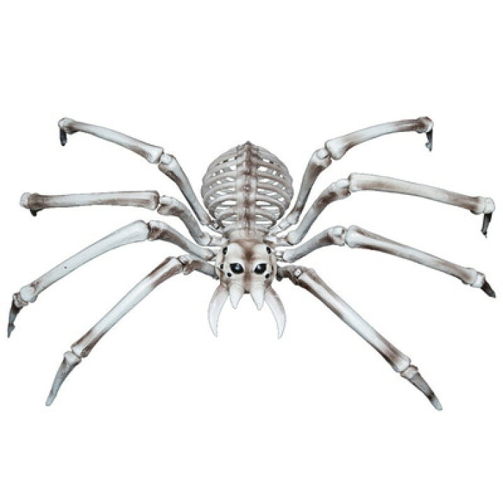 楽天市場 48cmジャイアントボーンスパイダー デコレーション 装飾品 雑貨 飾り くも インテリア ハロウィン クモ 蜘蛛 パーティワールド