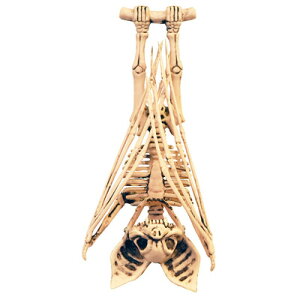 obgXPg y XJ hN KCRc A u nEB | IuWF G z[fBXvC [ z