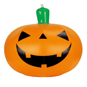 pvL{[ 45cm y CeA G GA[u[ i nEB  fR[V Ct[^u GAo[ GAu[ z