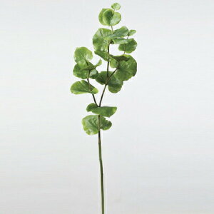 yiz lHϗtA V[O[v 107cm y CeAO[ tFCNO[ z