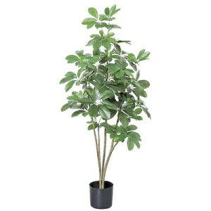 yiz lHϗtA VFt|bg 92cm y CeAO[ tFCNO[ z