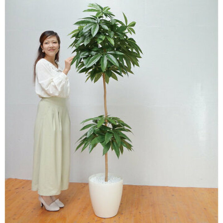 楽天市場】【取寄品】 フェイクグリーン 光触媒 パキラ 180cm 人工観葉 