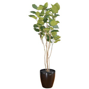 yiz tFCNO[ G} Ex[^ 190cm y L tBJX lHϗtA Ex[^[ R CeAO[ z