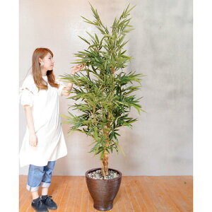 yiz tFCNO[ G} Tb| 195cm y fBXvC  [ CeAO[  Xܑi ou[ L lHϗtA R POP fR[V Ȃ΂ ̑i z