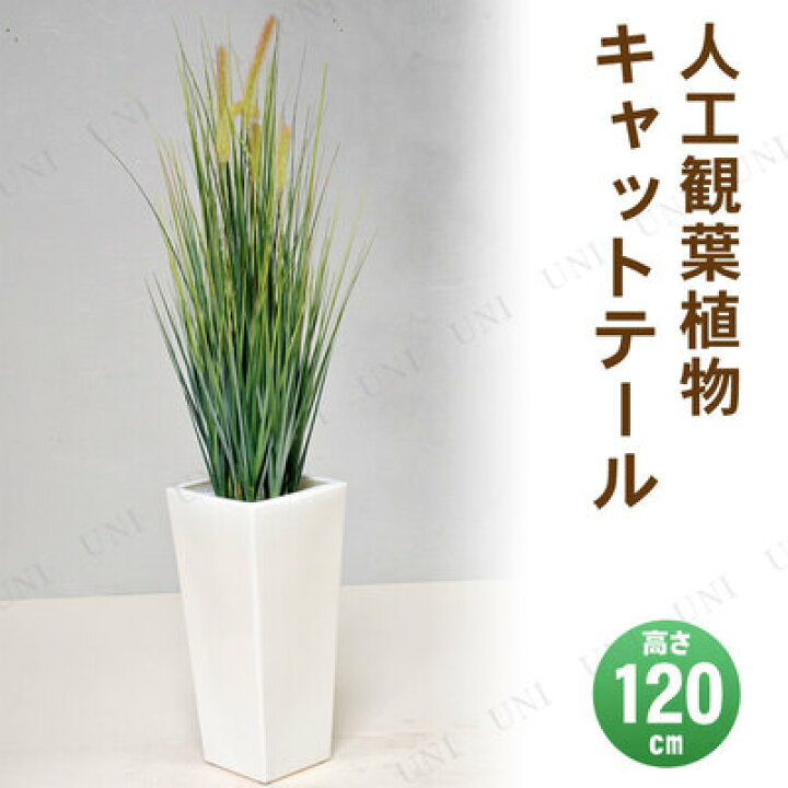楽天市場】【取寄品】 フェイクグリーン 光触媒 キャットテール 120cm 