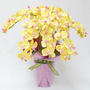 yiz tFCNO[ G} Ӓ7{ FsN85cm y L lHϗtA R R`E A[gt[ CeAt[  tFCNt[ z