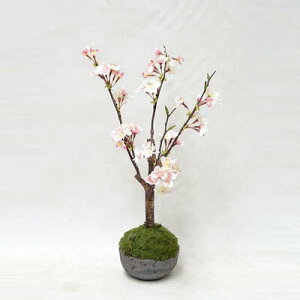 【取寄品】 フェイクグリーン 光触媒 桜 47cm 【 ミニサイズ 小さい ミニ観葉植物 人工観葉植物 インテリアグリーン 消臭 抗菌 】