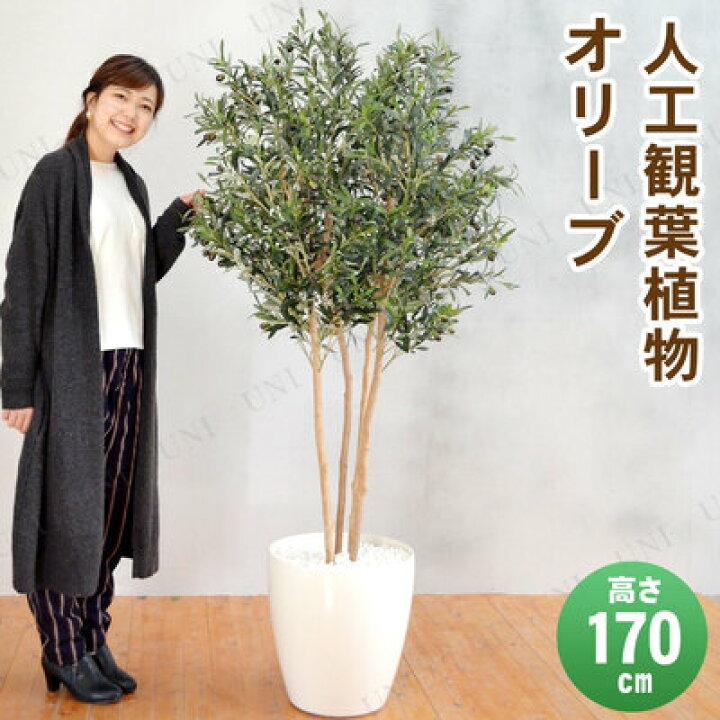 楽天市場】【取寄品】 フェイクグリーン 光触媒 オリーブ 170cm 