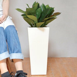 【取寄品】 フェイクグリーン 光触媒 ゴムの木 73cm 【 ゴムノキ 人工観葉植物 インテリアグリーン 】