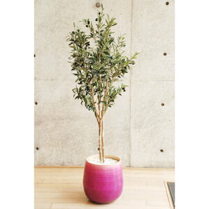 yiz tFCNO[ G} I[u 140cm y CeAO[ lHϗtA L R ʎ z