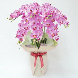 yiz tFCNO[ G} Ӓ7{ sN 85cm y R R`E  L lHϗtA CeAt[ tFCNt[ A[gt[ z