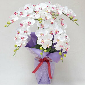 yiz tFCNO[ G} Ӓ7{ sN 85cm y  tFCNt[ CeAt[ A[gt[ R lHϗtA L R`E z