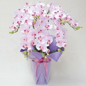 yiz tFCNO[ G} Ӓ7{ sN 85cm y A[gt[ R`E lHϗtA tFCNt[ CeAt[ L R  z