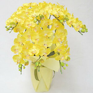 yiz tFCNO[ G} Ӓ7{  85cm y tFCNt[ R`E CeAt[  A[gt[ L R lHϗtA z