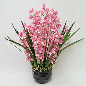 yiz tFCNO[ G} VrW[12{ sN 87cm y lHϗtA A[gt[ CeAt[ R  L tFCNt[ z