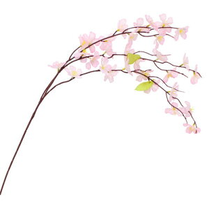 [2_Zbg] 65cm~jV_ y    w t fR[V TN POP fBXvC Ԍ ̑i  }  Xܑi z