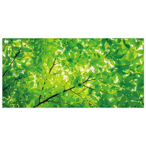 yiz 200×87cm fBXvCV[g t y ̑i POP t Xܑi O[[t  fR[V z