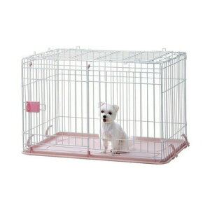 IINA hbO[ sN y ybgpi  P[W pi Ck ybgObY z