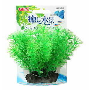 WFbNX GEX i ՂAuA y ANAEpi  ybgpi pi p ybgObY z