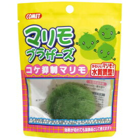 楽天市場 コケ取りまりもの通販