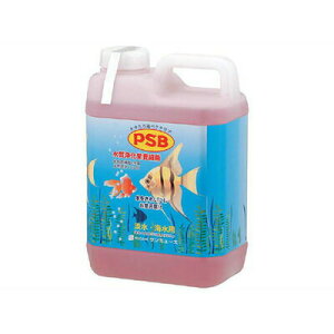 yiz T~[Y PSB 2.1L y ybgpi p ybgObY Ǘi ANAEpi pi pi  z