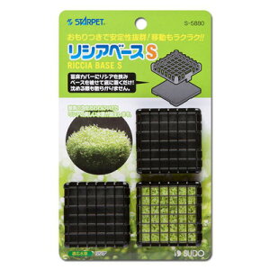 yiz Xh[ VAx[X S y ybgpi pi ybgObY ANAEpi p 琬 z