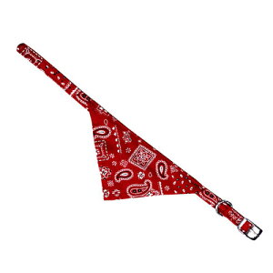 _ˍH[ o_it C_X S bh y ybgpi  ^p pi Ck ybgObY iC z