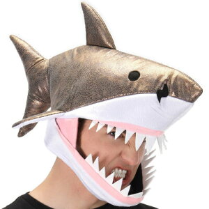 RXv  zIWULbv y RXv ߑ nEB p[eB[ObY Ԃ  Aj} v` Xq nEB ߑ ϑObY nbg z