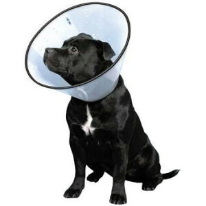 yiz t@^W[[h VETJ[ S y lR pi GUxXJ[ Ck Lpi p ybgpi ybgObY pi z