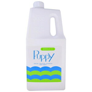 yiz ~N ps[Vv[ 3L y pi ybgpi ybgObY Ck pi O[~O g~O z