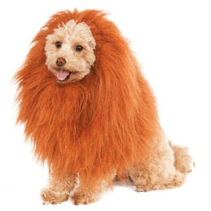 ybgEBbO CÎĂ y ybgpi   pi ybgRX`[ hbOEFA Ck ybgObY z