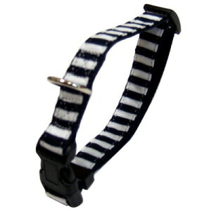 yiz 쐻쏊(ONS) XgCvJ[ #10 lCr[u[ y ybgObY Ck ybgpi Lpi  lR pi z