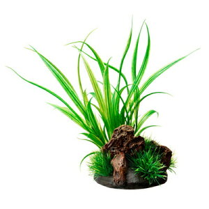 yiz WFbNX GEX i ANALoX VyX y  ANAEpi ybgObY ybgpi pi p z